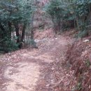 광어골길 이미지