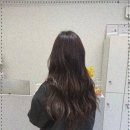 뮤토헤어 이미지