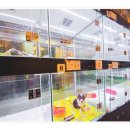 퍼피앤유 이미지