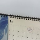 해도올 | 울산피부과 울산 올타이트리프팅 내돈내산 솔직후기