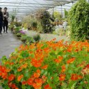 김성남 농장 이미지