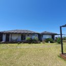 나른한 당근 이미지