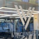 빈센트 핏 이미지