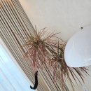 수완현진에버빌 1 이미지