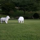 오재울농장 네이버블로그