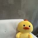 네일제희