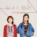Se.A(세아)