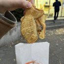학림단과학원