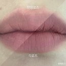 로즈와 나 | 컬러그램 긱로즈 잔망로즈 여쿨라가 발라본 후기