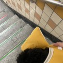 부산면보건지소 | 코지의 9월 마지막 출근