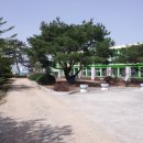 행안초등학교 이미지