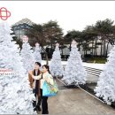 홈플러스 성서점 이미지