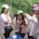 미즈나래여성병원 이미지