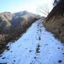 하이디 흑염소 농장 이미지