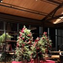 테라스하우스 | 아난티코브 조식 리뷰 &amp; 가평 아난티 크레딧 활용법｜테라스하우스 숙박 후기