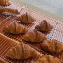 브랑제리 구젠 이미지