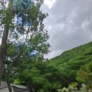 자연밸리 관광농원 이미지