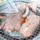 한우랑 돼지랑 이미지