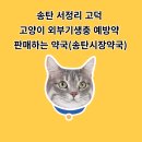 메디안약국 이미지