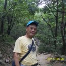 노을향기 이미지