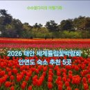 남면경로식당 | 2026 태안 세계튤립꽃박람회 &amp; 평점 9.5 이상 안면도 숙소 추천