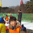 도담 태권도 이미지