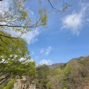 꿀돼지하우스민박 이미지