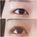 she's 뷰티 | 이천 속눈썹 파마 잘하는 뷰티샵 she's뷰티에서 속눈썹 펌 받고 온 후기 :>