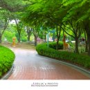 대가야역사테마관광지 이미지