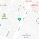 커들리 퍼피 창원강아지 분양 이미지