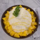 빅보스푸드 | 세부 익스트림 남부투어! 오슬롭 고래상어 + 투말록 폭포 + 모알보알 정어리떼 후기(feat. 해적호핑)