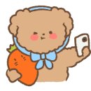 둔산남로91번길 이미지