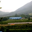 대문농장(2) 이미지