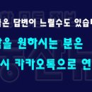 더고침펠리스 이미지