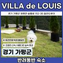 VILLA de LOUIS 이미지