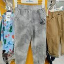 리틀밥독 이미지