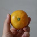 박달농장 이미지