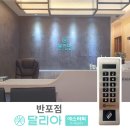 달리아에스테틱(반포점) 네이버블로그