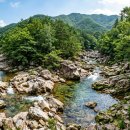 대둔산산자락펜션 | 전주·대전에서 1시간, 한여름에도 얼음장 계곡 '완주'로 떠나는 이유