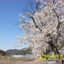 버스정류장 06-087 Daum카페