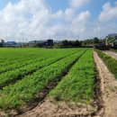 가연부동산공인중개사사무소 이미지