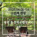 도기봉봉 | 평창 흥정계곡캠핑700 (250801~03, A8)