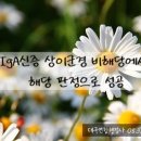 신증행정사 이미지