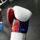 헤비히터 글러브 [검단복싱 복싱용품 파이트허브 국산글러브 가미 신도 유양 에어펙스]
