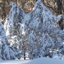 빌레하우스 이미지