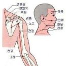 경희토정한의원 이미지
