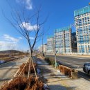 평택프라자약국 이미지