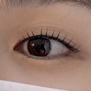 보리네 뜰 | 건대속눈썹펌 리얼 후기｜보리네눈썹가게에서 깔끔하게 눈매 완성