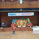 사랑피피쿠스 Daum카페
