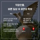 경희대학교 평화복지대학원